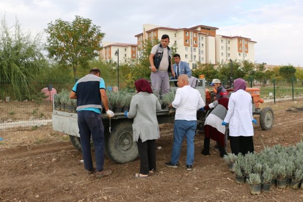 SÜRDÜRÜLEBİLİR MÜKEMMELLİK! PARK OTEL